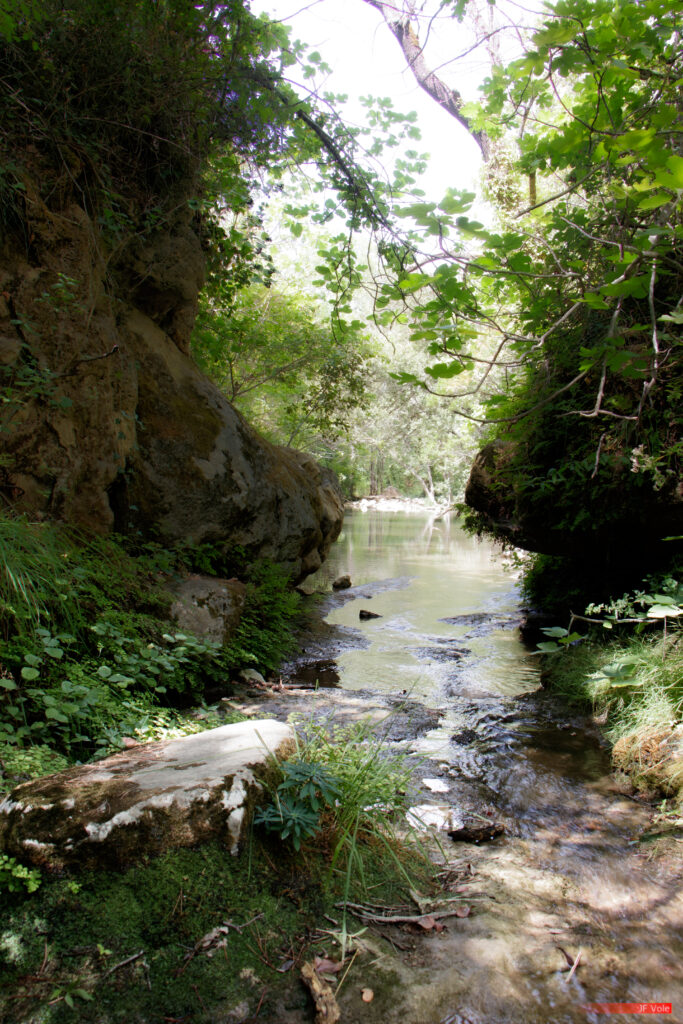 Auriol (Bouches-du-Rhône) - Body of water - Bouches-du-Rhône - Country - Cours d'eau - France - Geography - Géographie - Huveaune - Pays - Provence-Alpes-Côte d'Azur - River - Ruisseau de Vède - Ruisseau des Encanaux - Étendue d'eau - Pont des Encanaux Auriol (Bouches-du-Rhône) Provence-Alpes-Côte d'Azur France